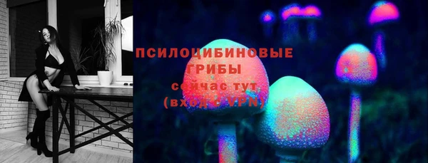 мдпв Костерёво