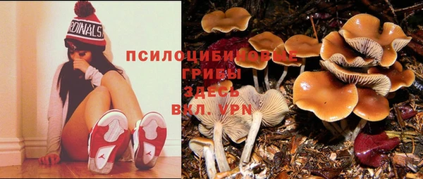 амф Коряжма