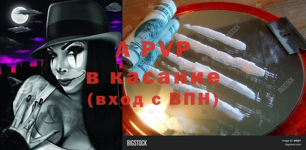 амф Коряжма
